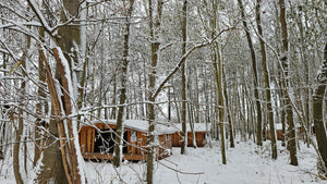 Shelters